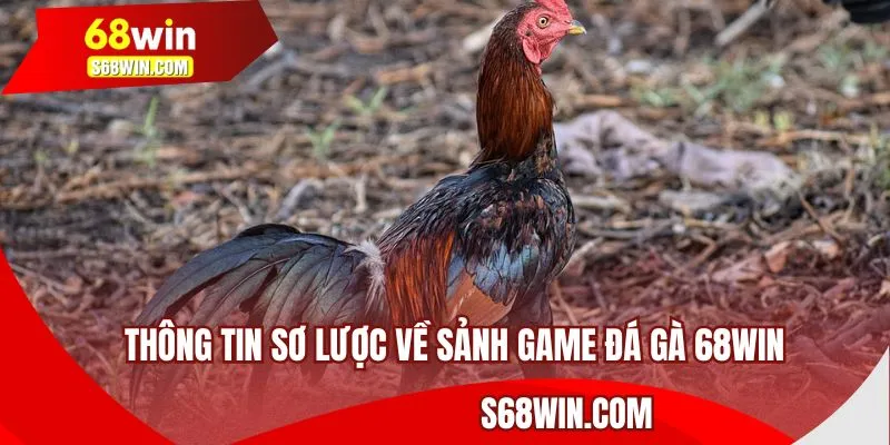 Thông tin sơ lược về sảnh game đá gà 68WIN